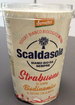 Yogurt bianco biologico intero